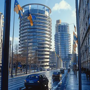 迷途游人含义是什么